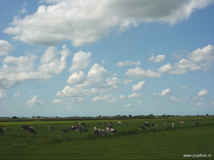 Fietsen in het Groene Hart van Nederland.
